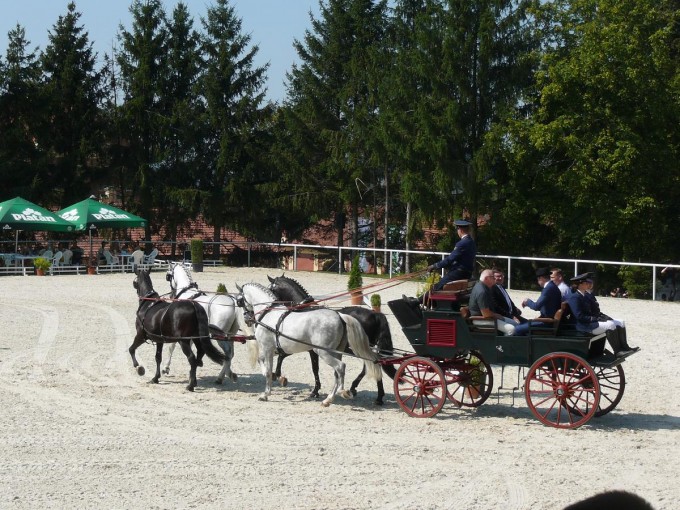 Hebinec Psek 21