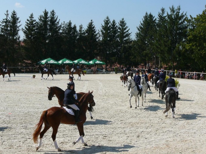 Hebinec Psek 22