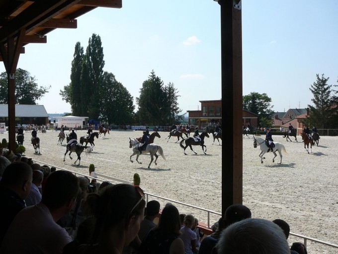 Hebinec Psek 23