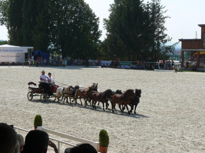 Hebinec Psek 25