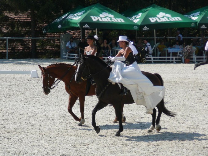 Hebinec Psek 27