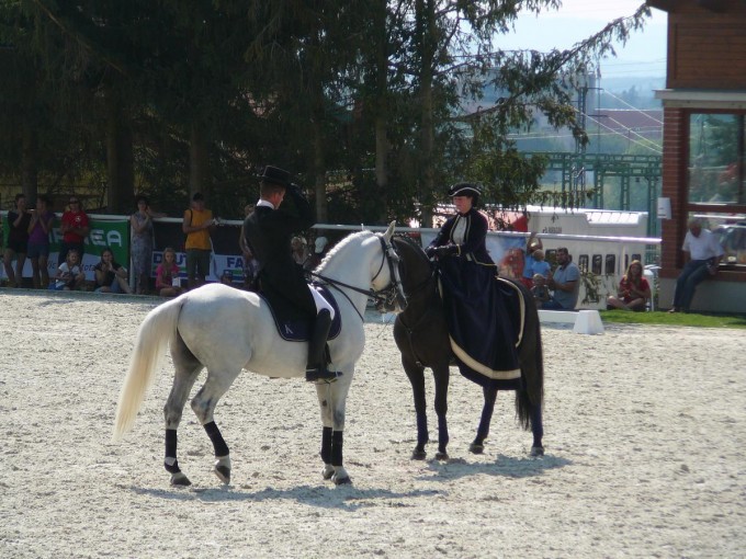 Hebinec Psek 34