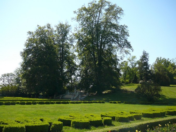 Vejce 2020-05