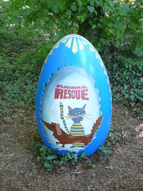 Vejce 2020-11