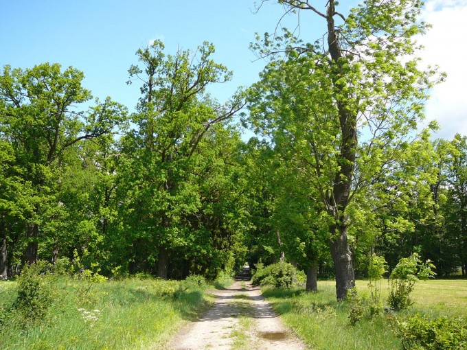 Vejce 2020-53