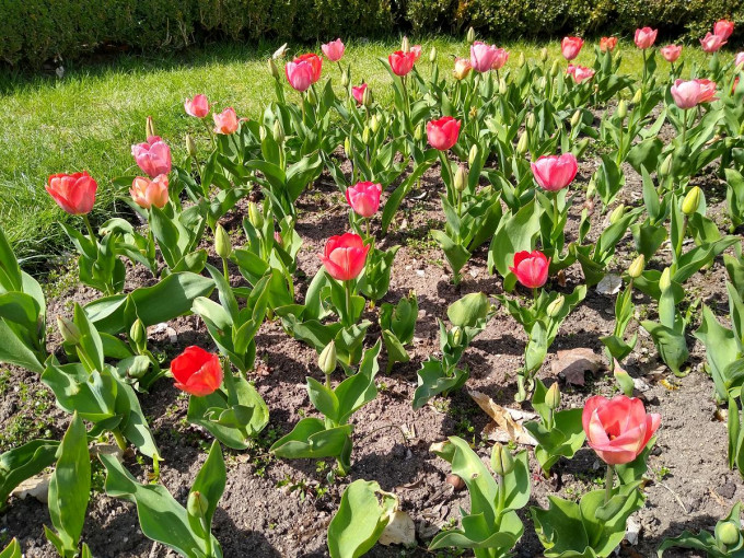Duben 2021-05