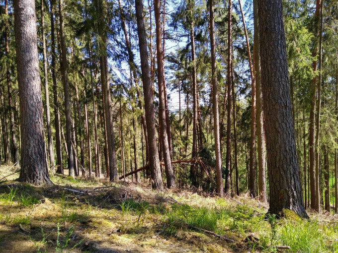 Stezka 2021-31