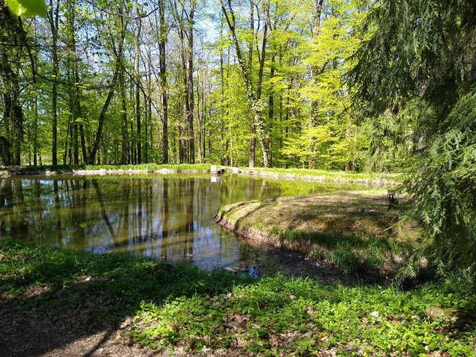 Stezka 2021-84